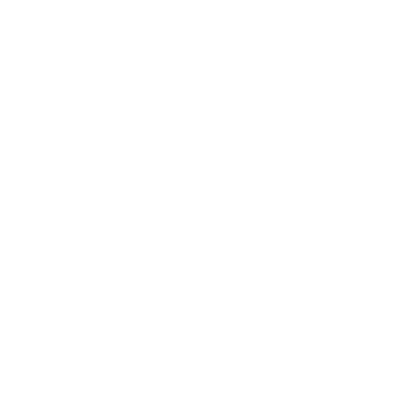 The Lion Hotel
